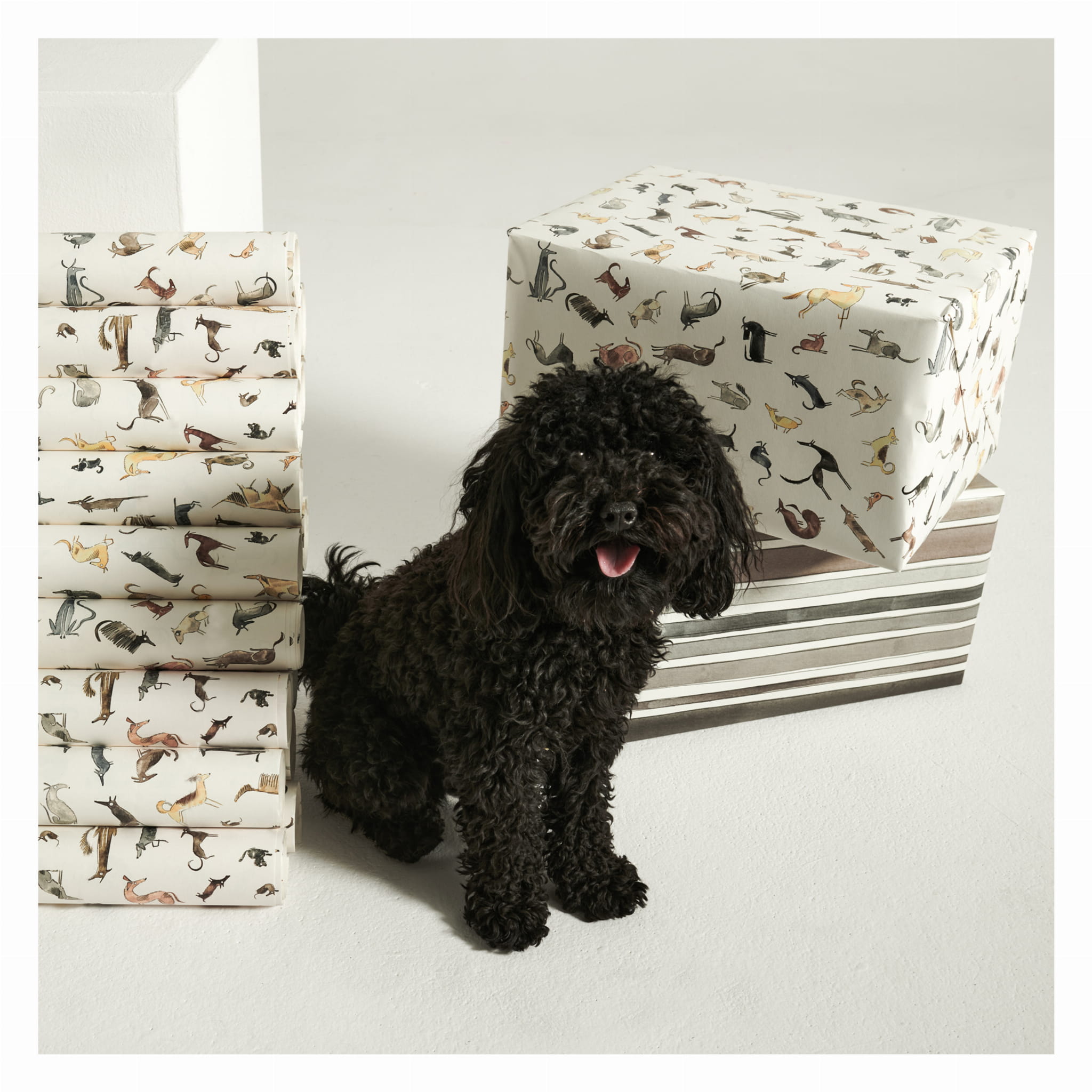 Baliaci papier PAPERGOODS